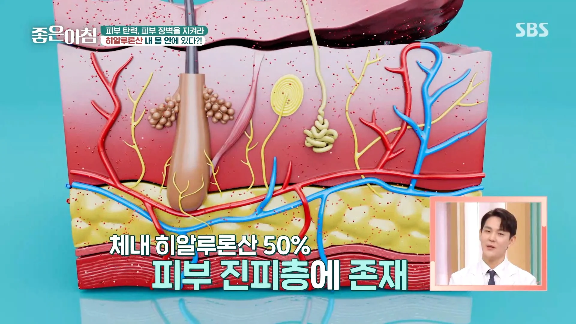 권형일 원장 방송출연 – 건조한 계절, 피부를 지키는 방법
