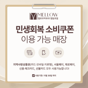 민생회복 소비쿠폰 사용 안내