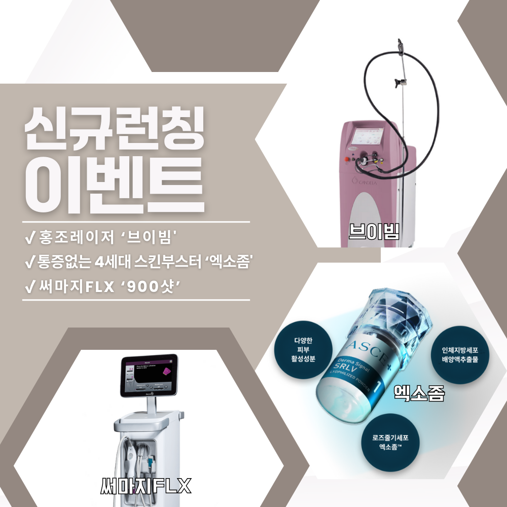 신규 장비 런칭 이벤트