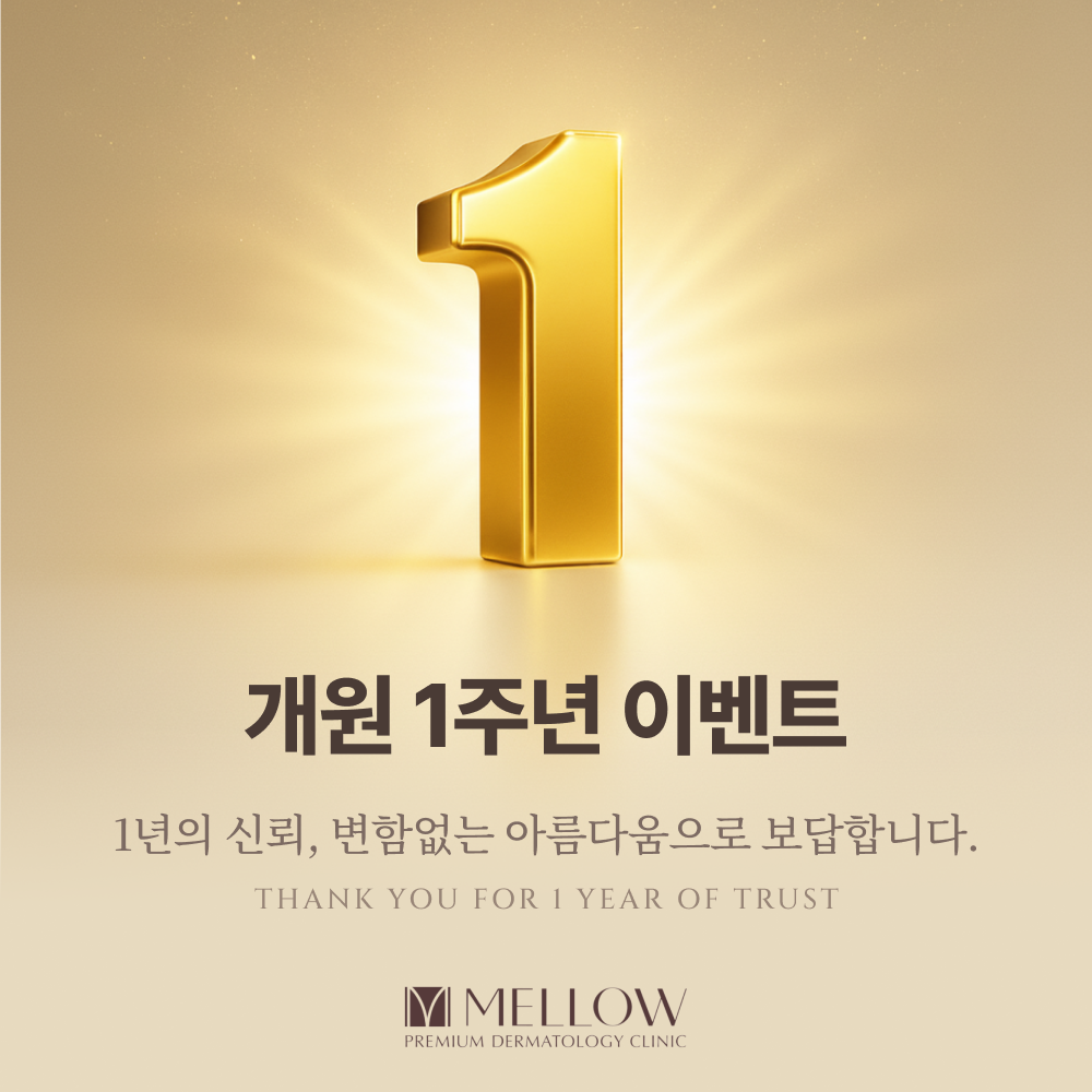 1주년 기념 이벤트