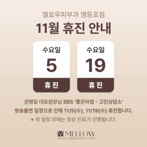 11월 휴진 안내