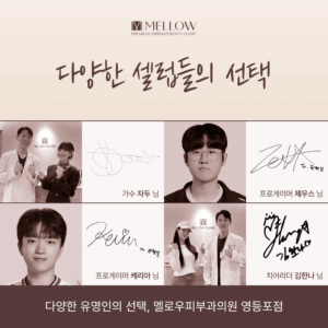 다양한 셀럽들의 선택