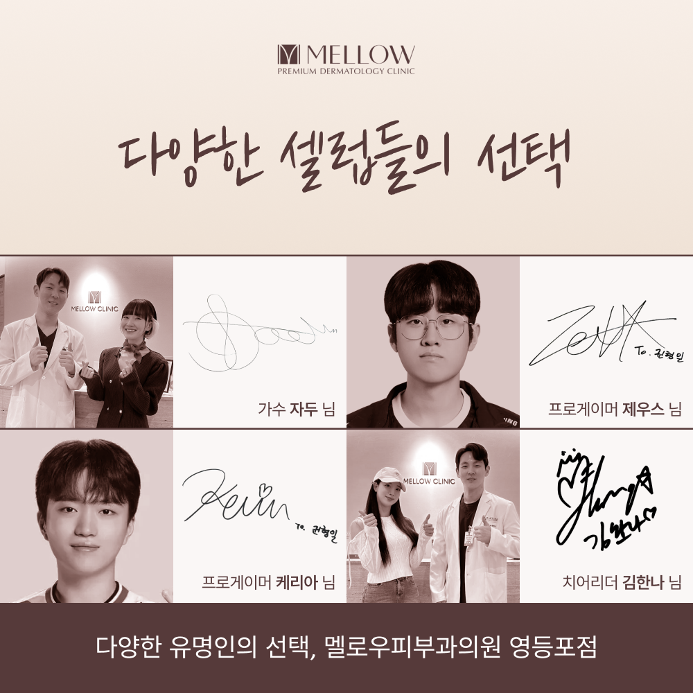 다양한 셀럽들의 선택